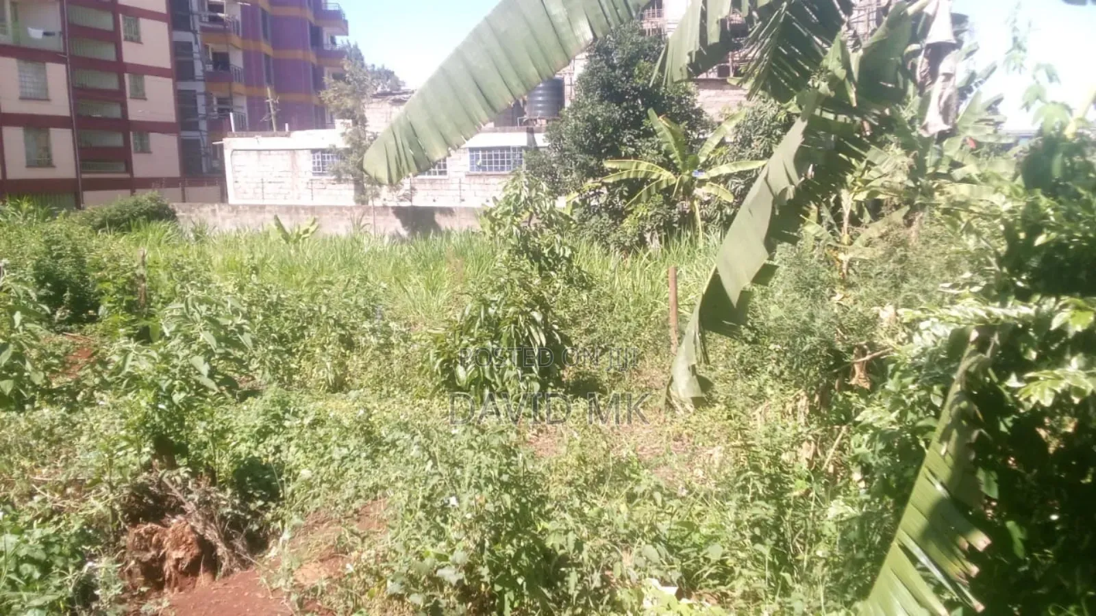 Land Ruaka for Sale 0.5 Acre