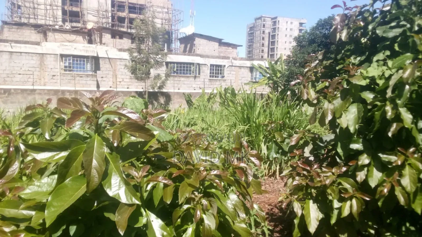 Land Ruaka for Sale 0.5 Acre