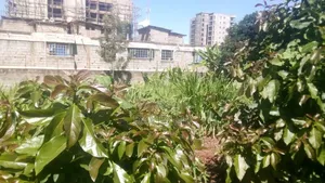 Land Ruaka for Sale 0.5 Acre