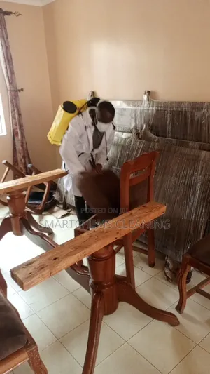Pests Control Services in Ruiru