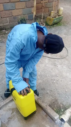 Pests Control Services in Ruiru