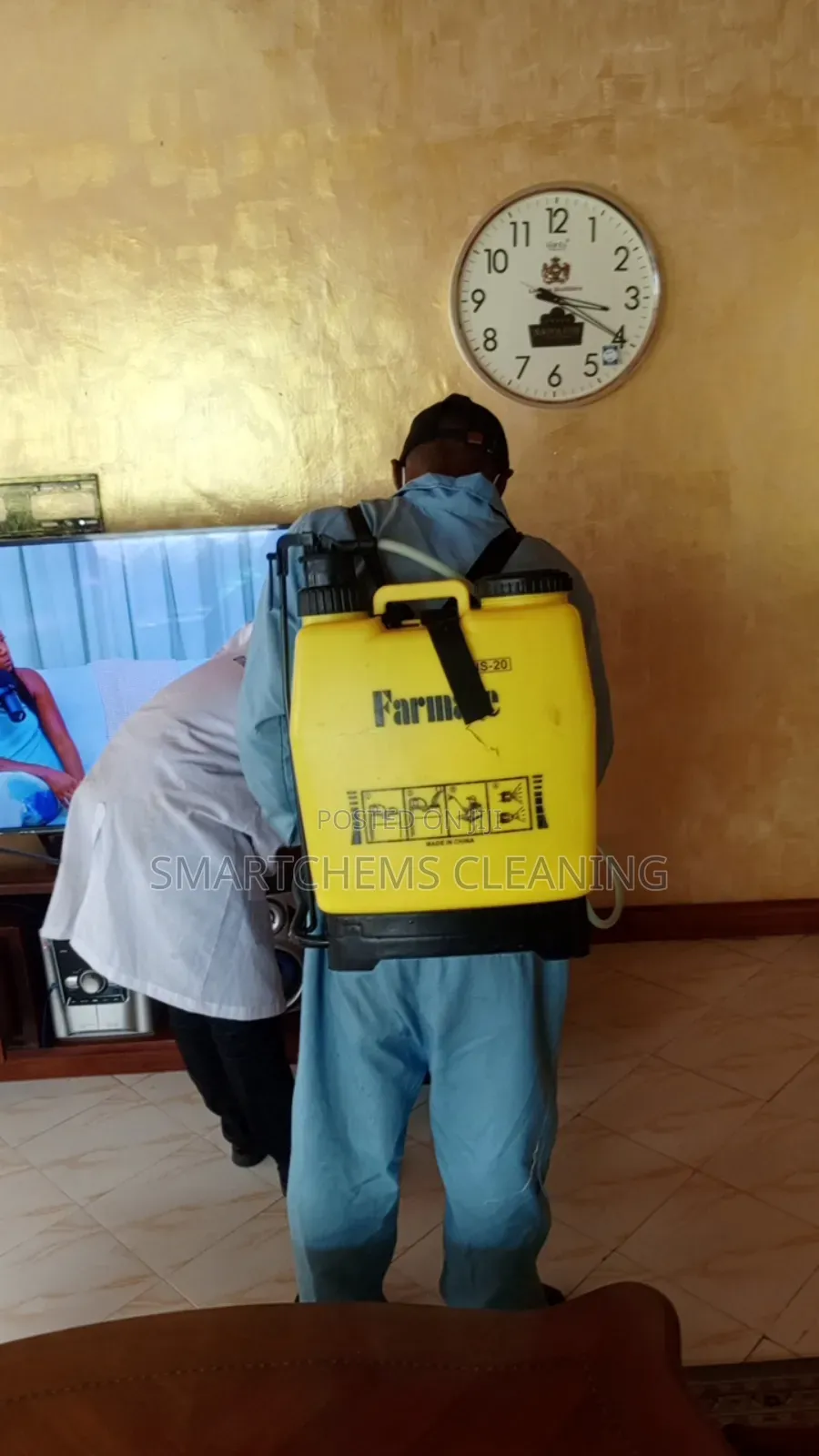 Pests Control Services in Kiambu