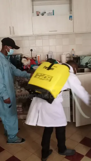 Pests Control Services in Kiambu