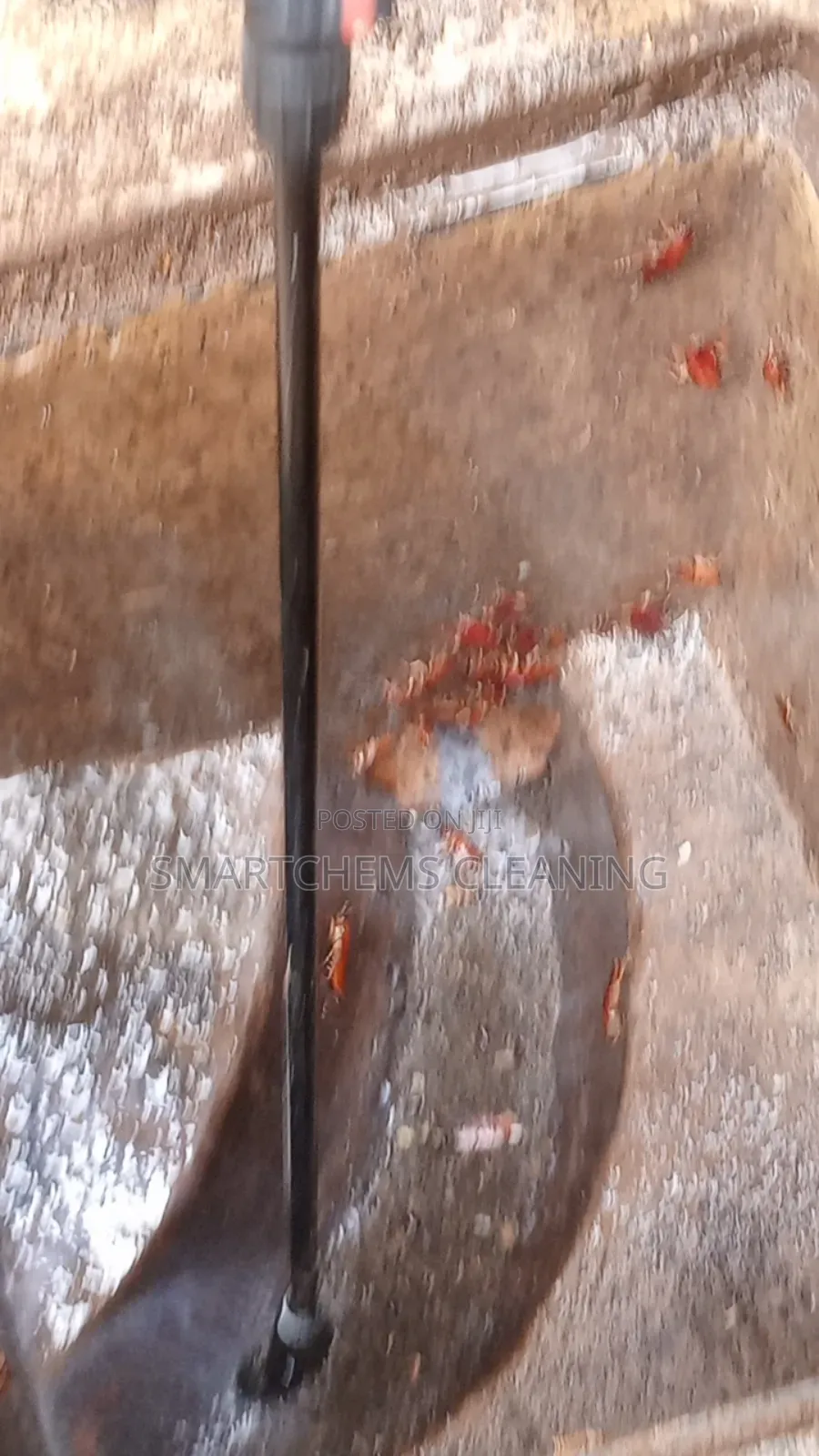 Pests Control Services in Kiambu