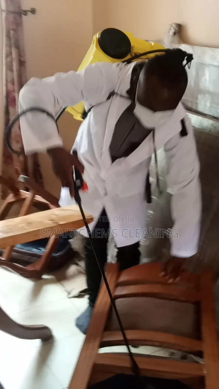 Cockroaches Elimination in Juja