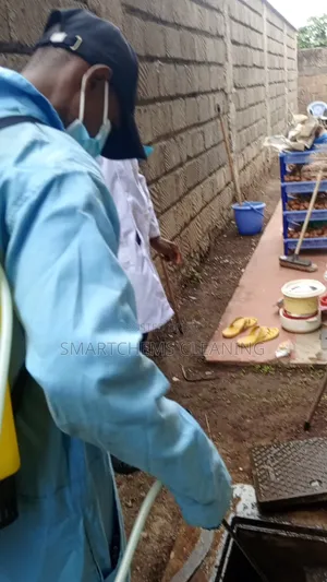 Pests Control Services in Umoja