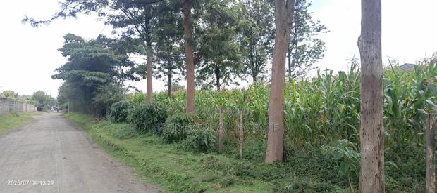 Lanet - Kiamunyeki 2 1⁄2 Acres Land for Sale || Pedex