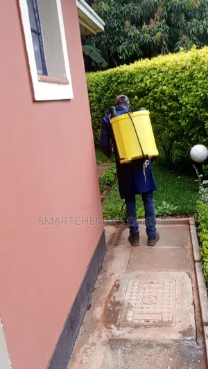 Sugar Ants and Black Ants Control