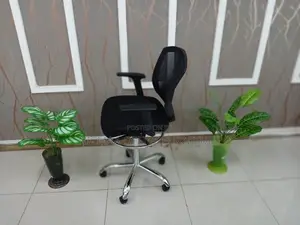 Adjustable Height Counter Chair