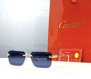 Frameless Wooden Temples Polarized Sunglasses - main view