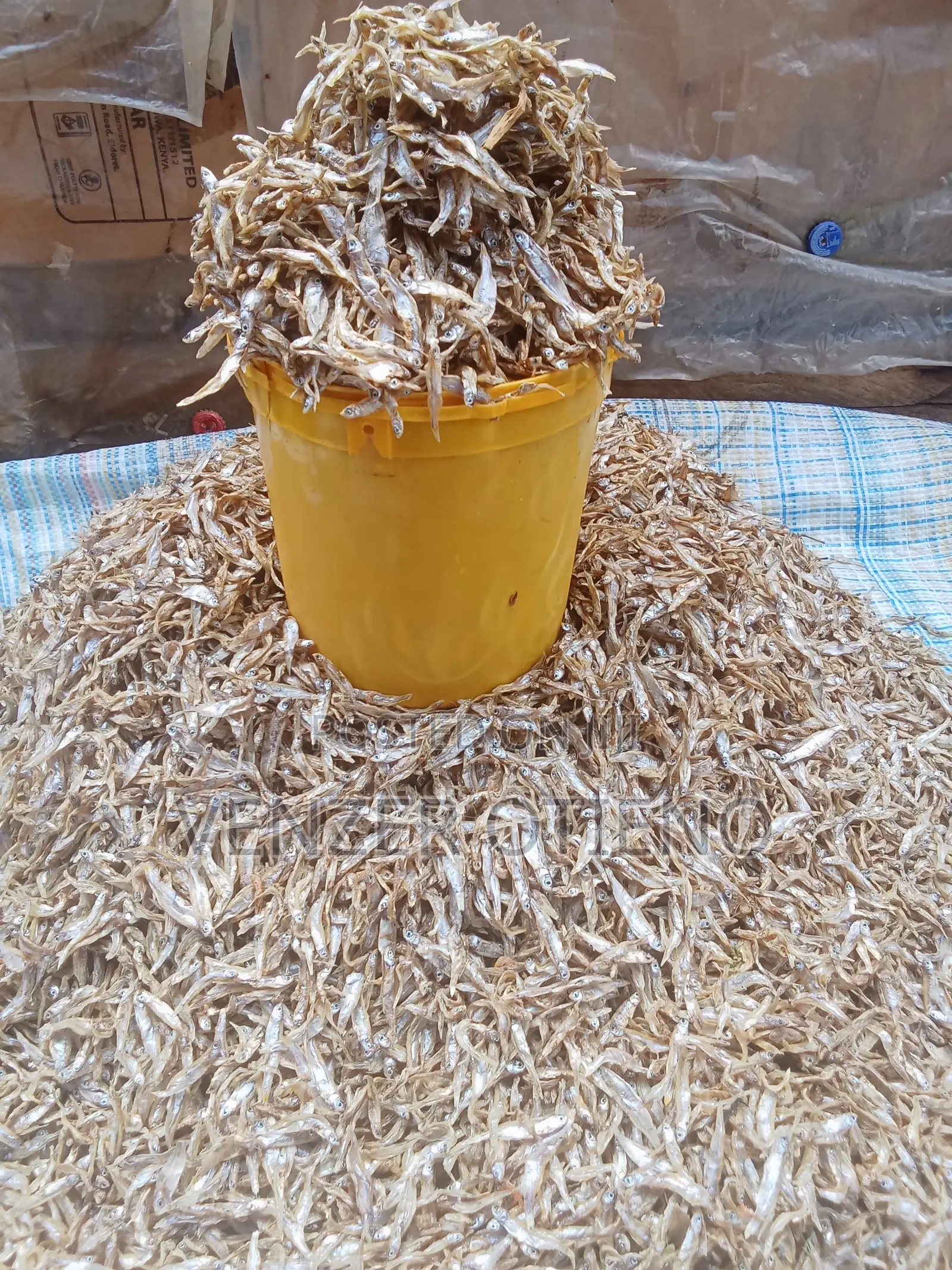 Clean Dry Omena for Sale