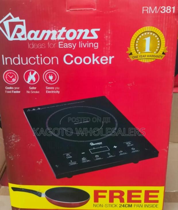 Ramton Induction Cooker - main view