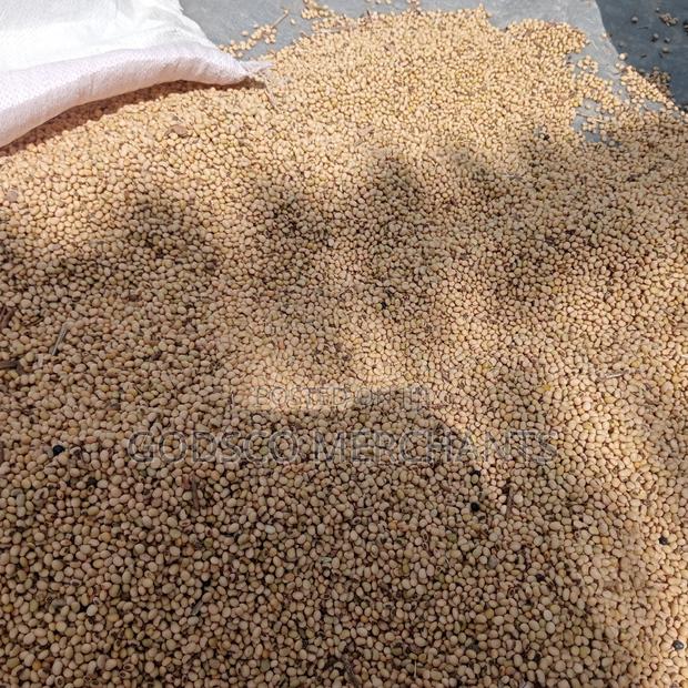 Soya Beans - main view