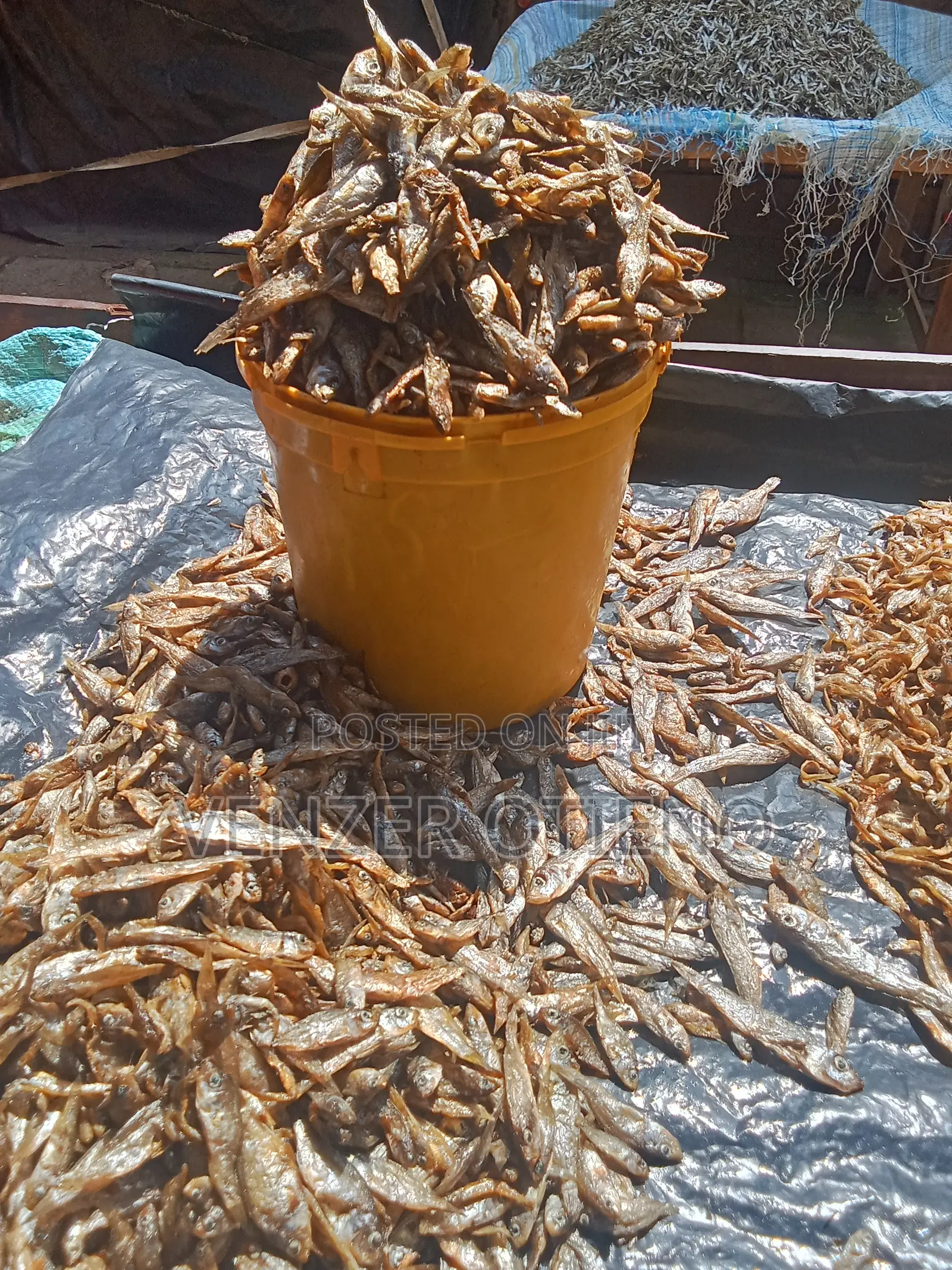 Fried Crunchy Fulu (Small Fish)