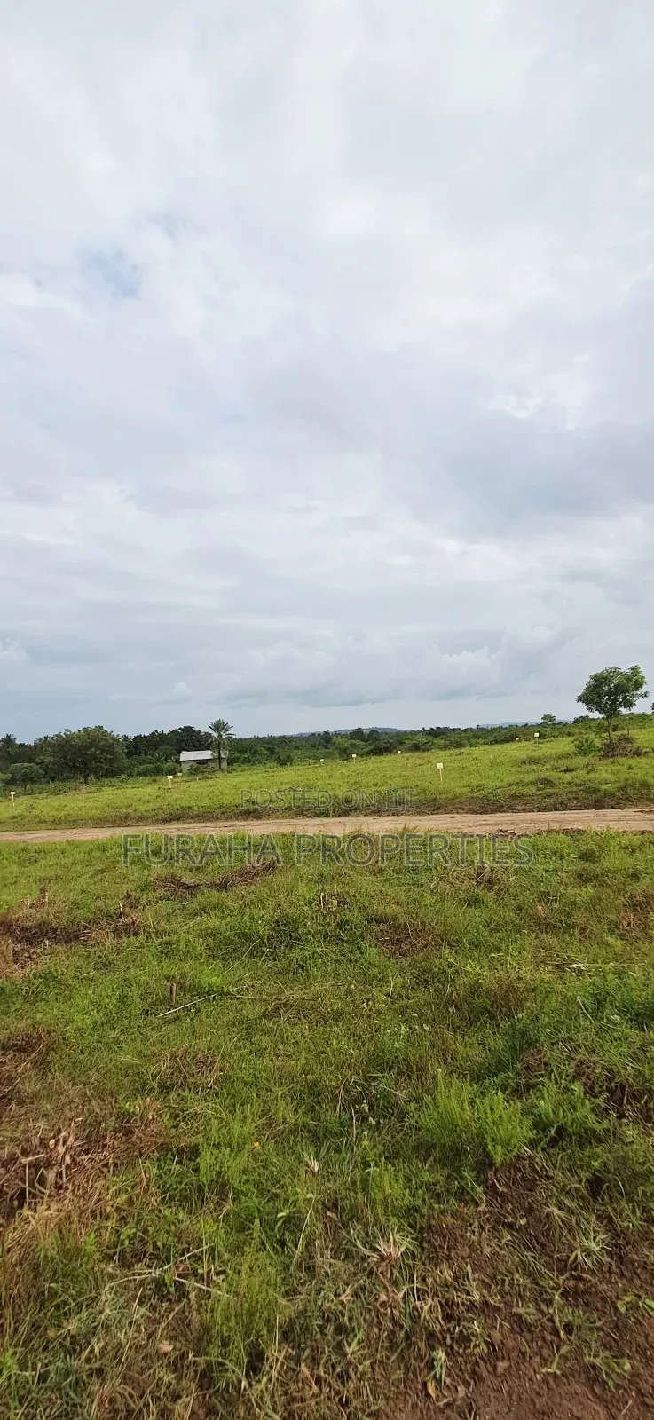 For Sale Eigth Acre Plots Dongo Kundu