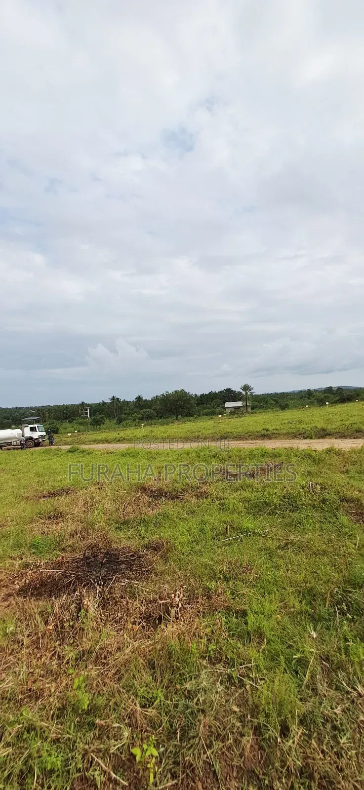 For Sale Eigth Acre Plots Dongo Kundu