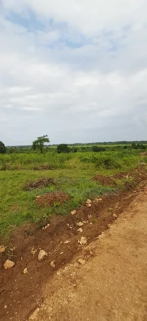 For Sale Eigth Acre Plots Dongo Kundu
