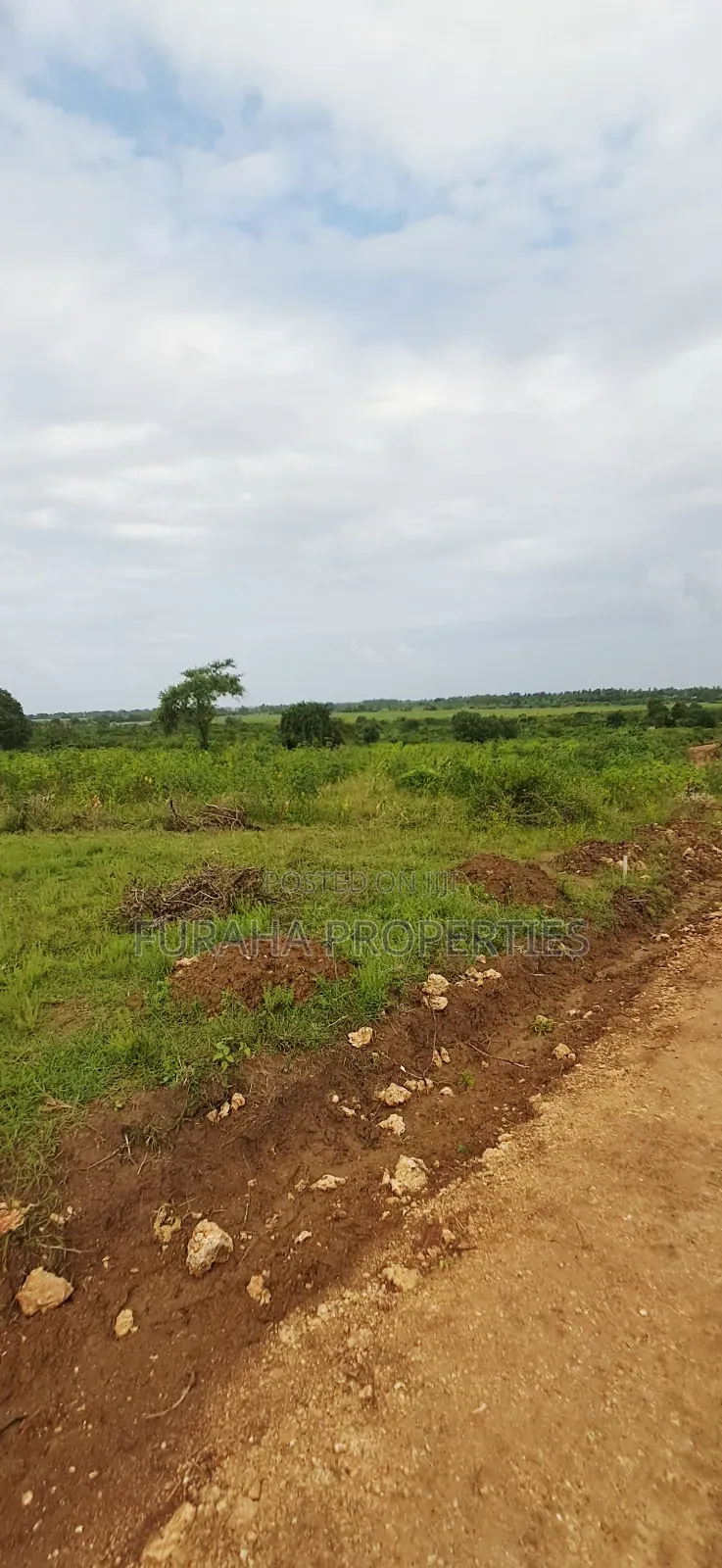 For Sale Eigth Acre Plots Dongo Kundu