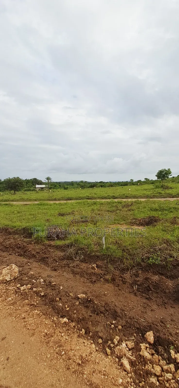 For Sale Eigth Acre Plots Dongo Kundu