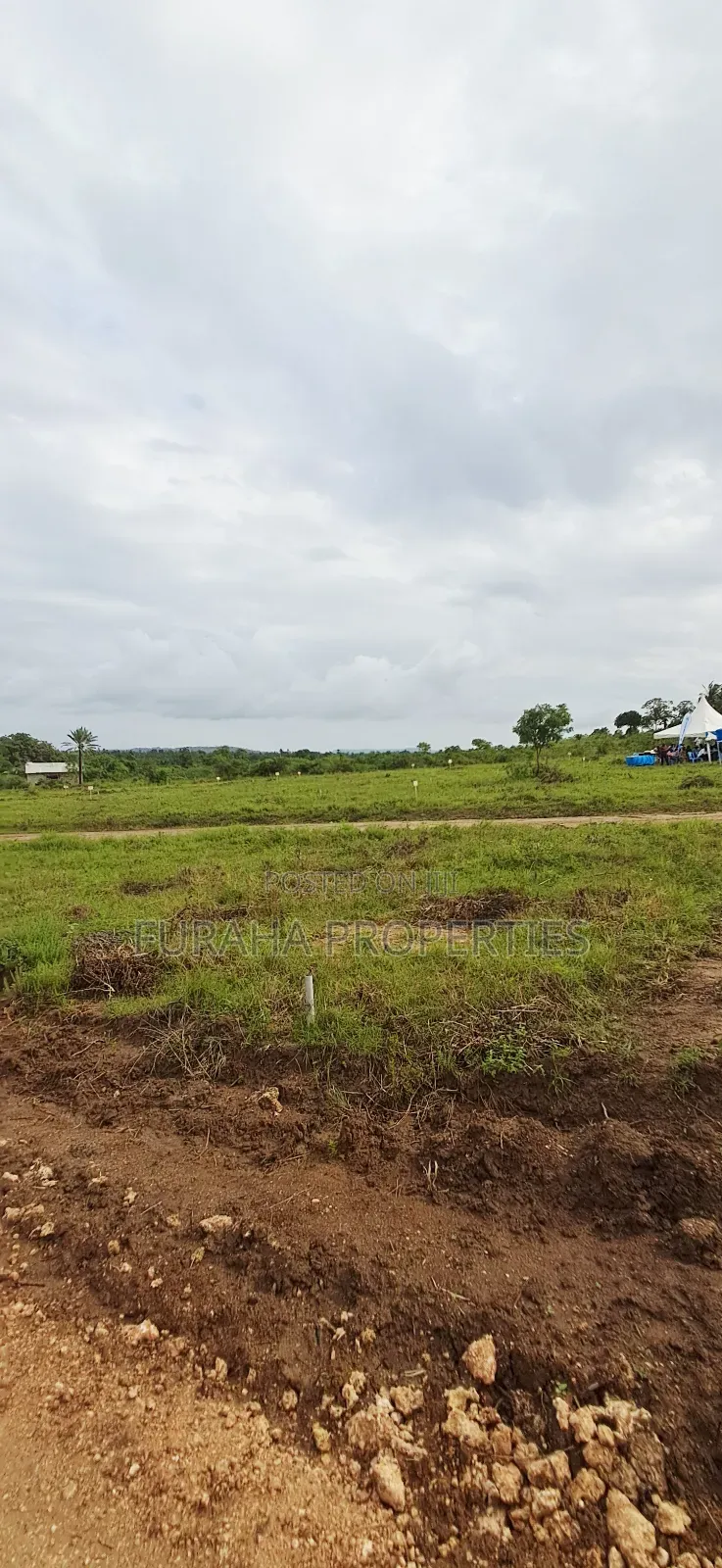 For Sale Eigth Acre Plots Dongo Kundu