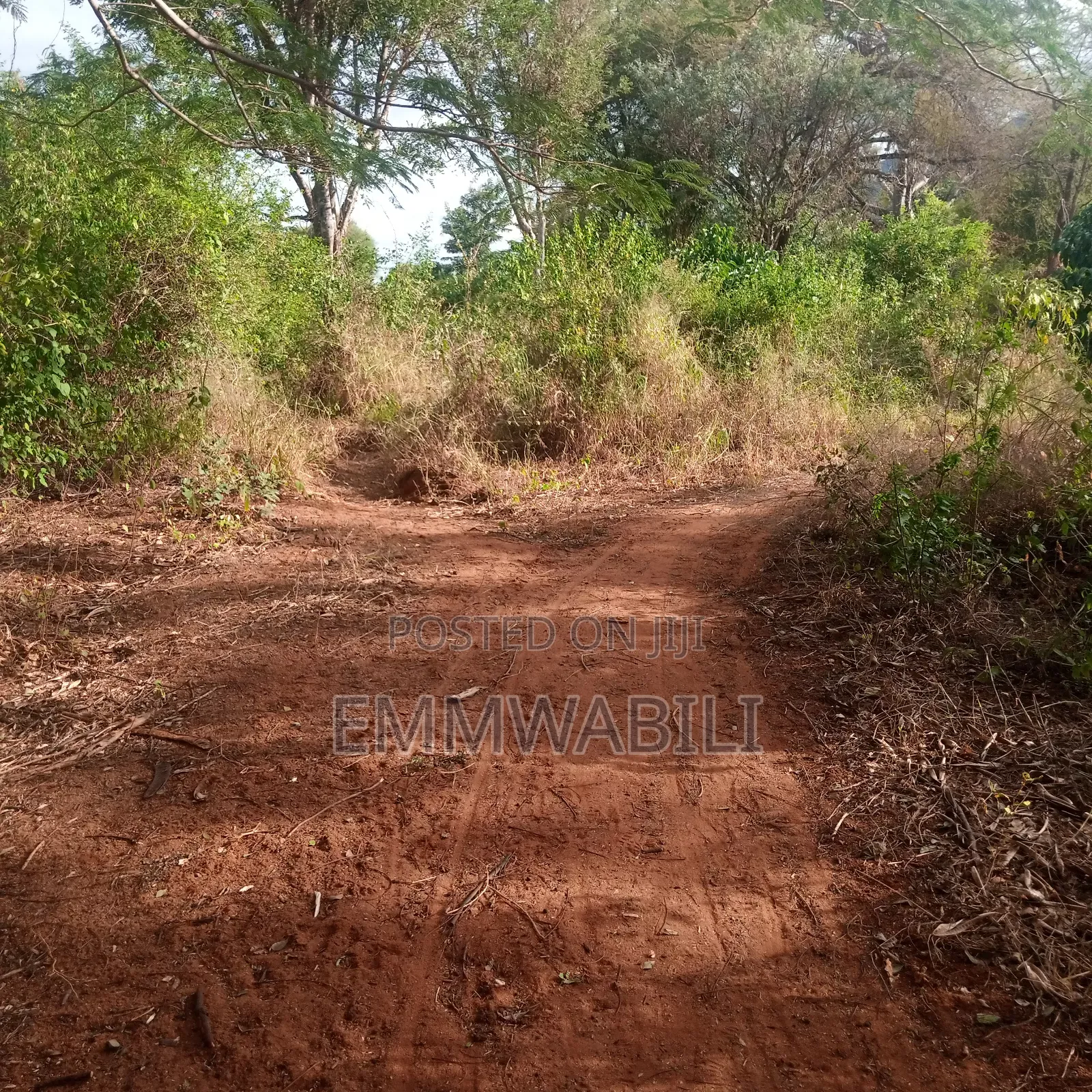 Six Acres for Sale in Tausa Mwandau