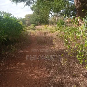 Six Acres for Sale in Tausa Mwandau