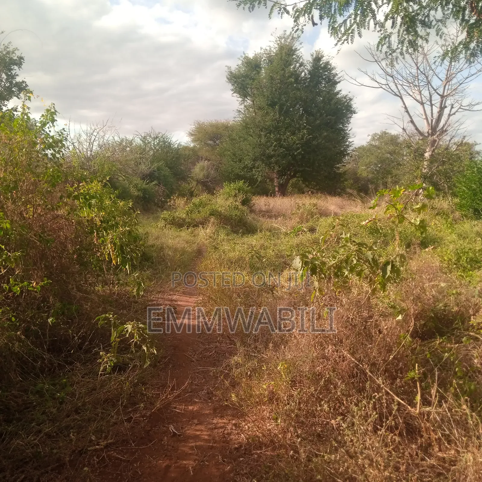 Six Acres for Sale in Tausa Mwandau