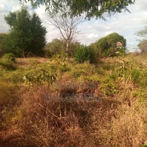 Six Acres for Sale in Tausa Mwandau