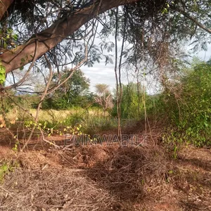 Six Acres for Sale in Tausa Mwandau
