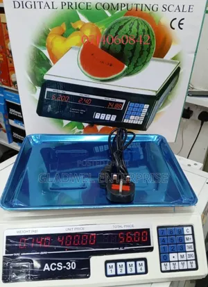 30kg  Digital Scale Computing Digital Scale