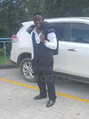 Sales Person