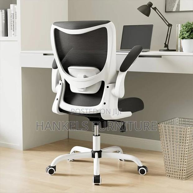Ergonomic Desk Chair With Adjustable Lumbar Support