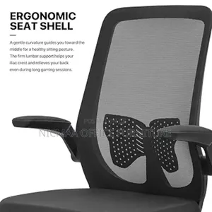 Comfy Flexible Ergonomic Mesh Office Chair