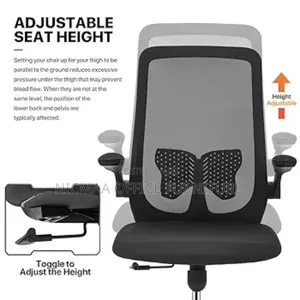 Comfy Flexible Ergonomic Mesh Office Chair