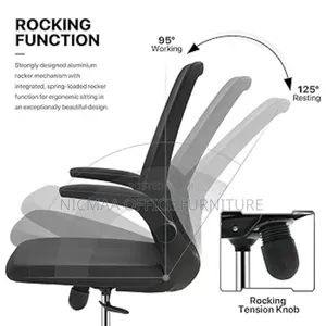 Comfy Flexible Ergonomic Mesh Office Chair
