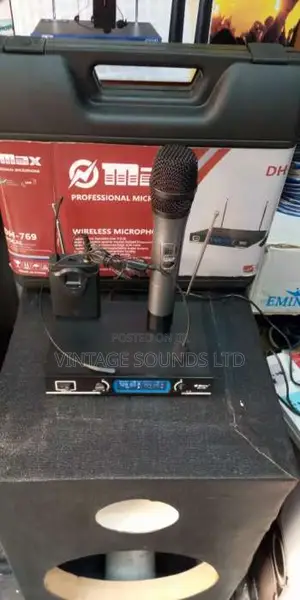 Professional Max Wireless Mic