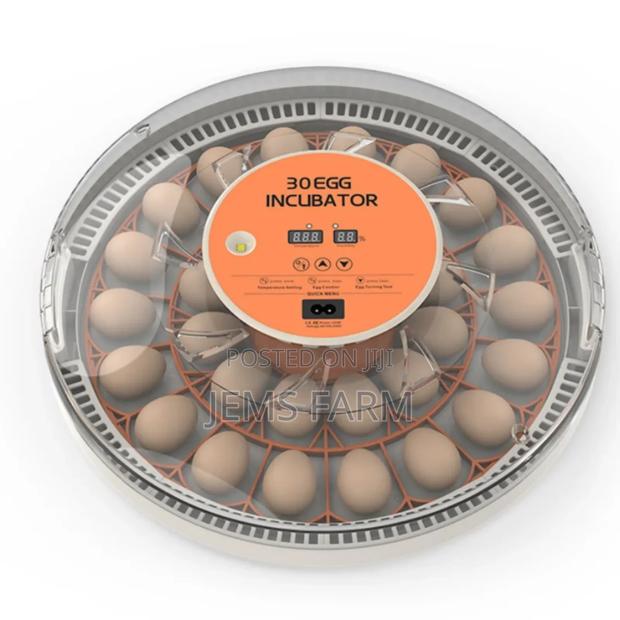 30 Eggs Home Use Incubator Fully Automatic Eggs Incubators - main view