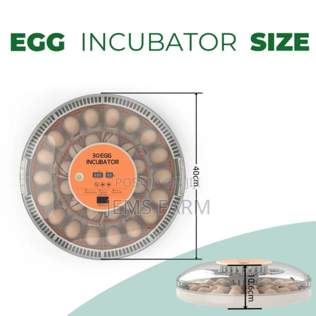 30 Eggs Home Use Incubator Fully Automatic Eggs Incubators - thumbnail 2