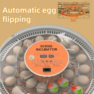 30 Eggs Home Use Incubator Fully Automatic Eggs Incubators