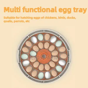 30 Eggs Home Use Incubator Fully Automatic Eggs Incubators