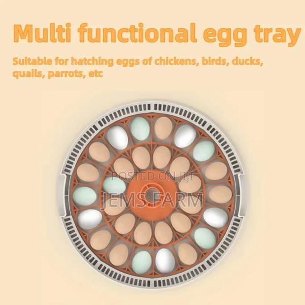 30 Eggs Home Use Incubator Fully Automatic Eggs Incubators - thumbnail 5
