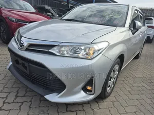 Toyota Axio 2018 Gray