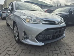 Toyota Axio 2018 Gray