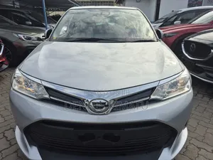 Toyota Axio 2018 Gray