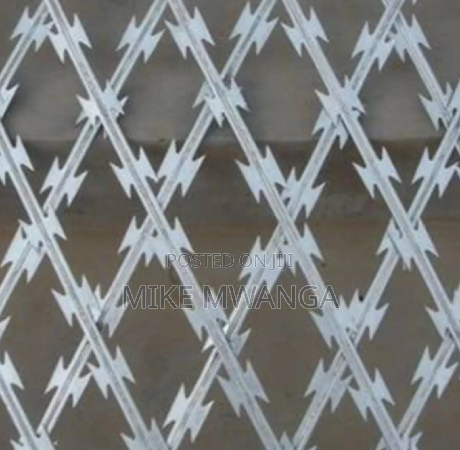 Stainless Razor Sharp Fence