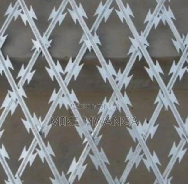 Stainless Razor Sharp Fence - main view