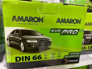 Din 66 Amaron Pro Maintenance Free Car
