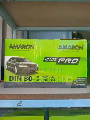 Din 80 Amaron Pro Maintenance Free Fitting