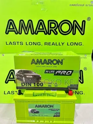 Din 100 Amaron Pro Maintenance Free Battery Fitment