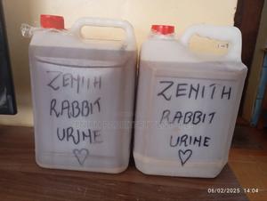 Pure Rabbit Urine for Sale - thumbnail 2